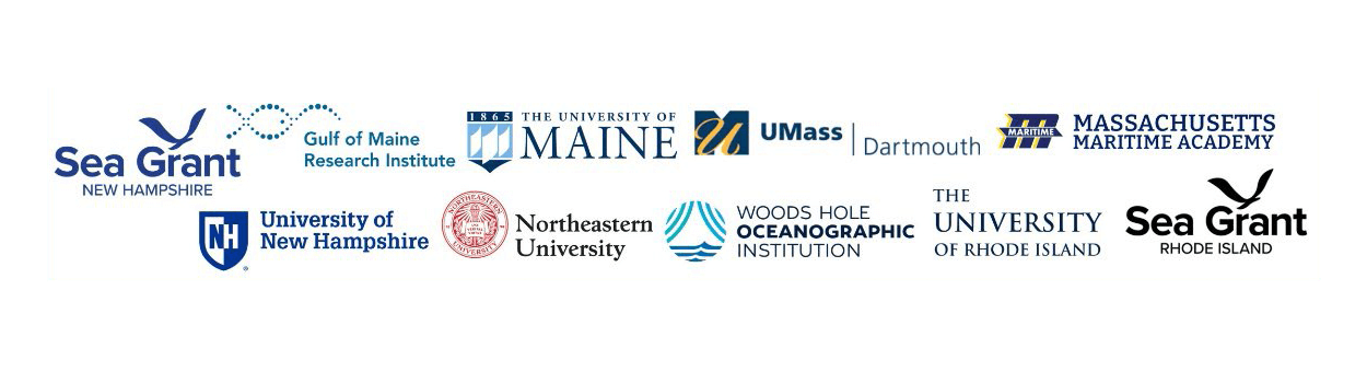 logos-academic