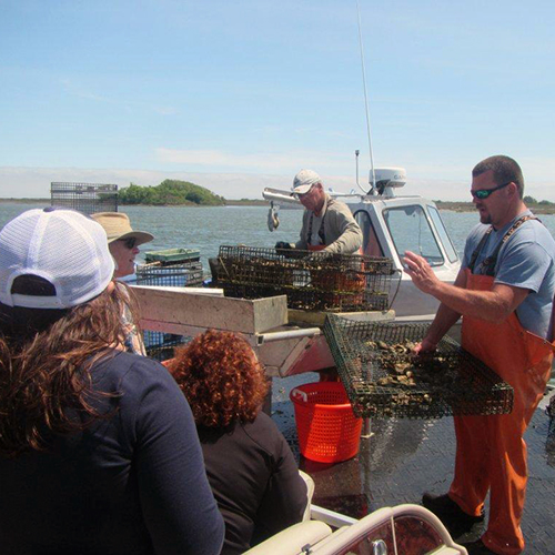 risg_cygler_tour-of-oyster-farm-ri