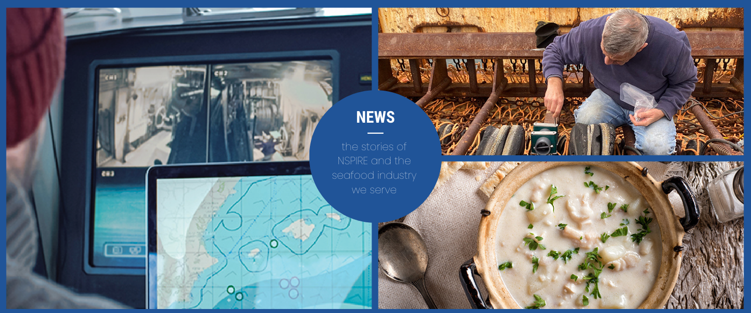 nspire-story-grid-3 NSPIRE story grid